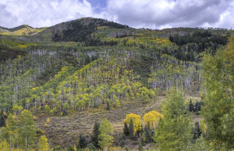 Mountain slopes in fall in Colorado.