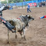 Garfield County sets 2023 fair and rodeo dates
