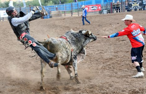 A bull rider is tossed off the animal during the Xtreme Bulls event at the 2022 Garfield County Fair and Rodeo in Rifle, Colo.