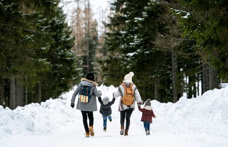 Rear view of family with two small children holding hands in winter nature, walking in the snow.