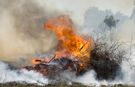 One of many vegetation piles being burnt during a "controlled burn" or "hazard reduction burn."