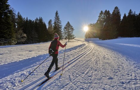 Woman cross-country skiing in the woods.