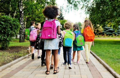 A group of school children with school bags and backpacks go to school, view from the back.