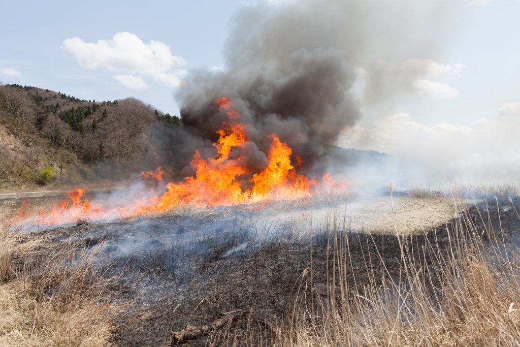 Prescribed burning planned at Rifle Garfield County Airport this fall