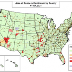 COVID-19 update: A pandemic of the unvaccinated and other local COVID news