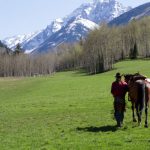High risk to Colorado horse owners, equine herpes virus (EHV-1)