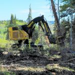 Logging operations resume on Buford-New Castle Road