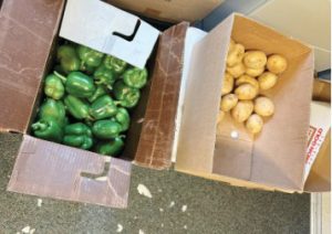 Green peppers and potatoes are seen in boxes at a Garfield County WIC produce giveaway in October.
