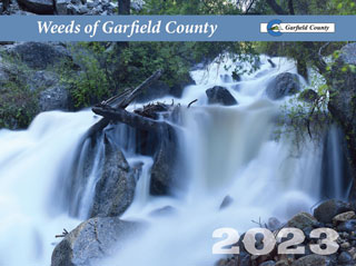 @023 Weeds of Garfield County calendar cover.